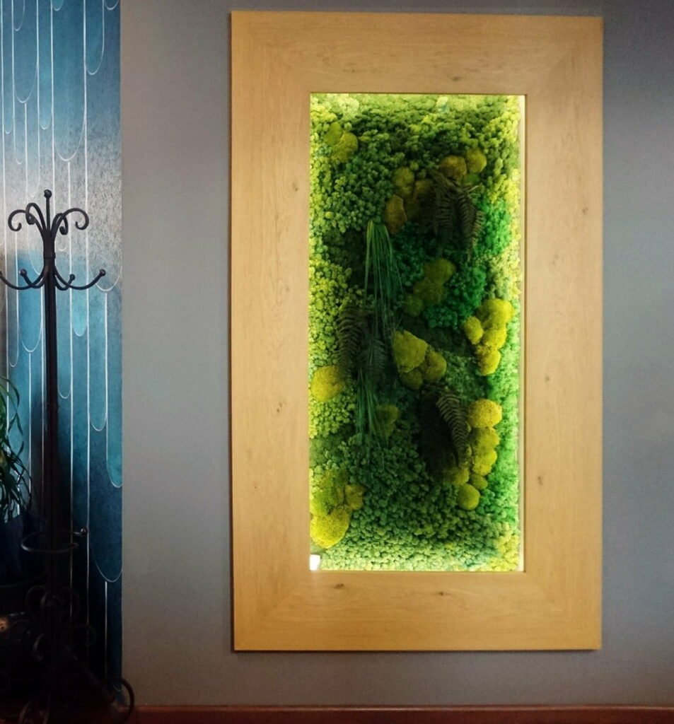 frameszara