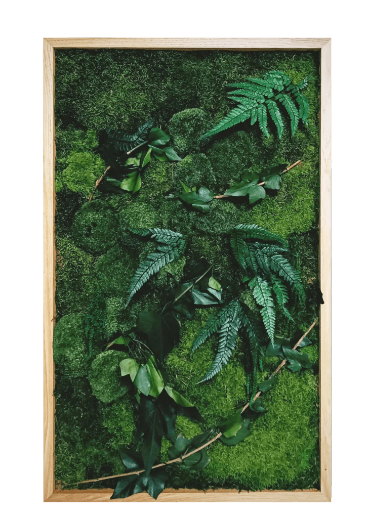 jungle rama